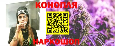 прущие грибы Партизанск