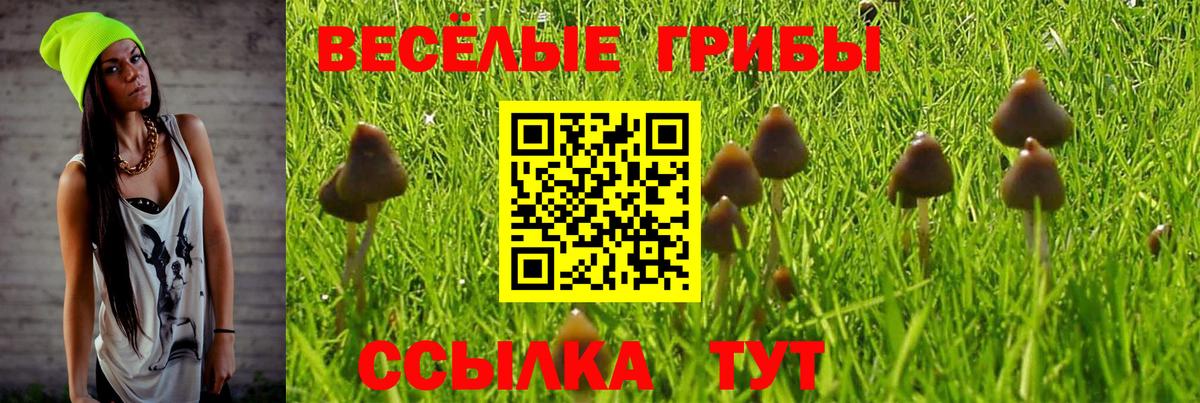 Галлюциногенные грибы Magic Shrooms Ревда