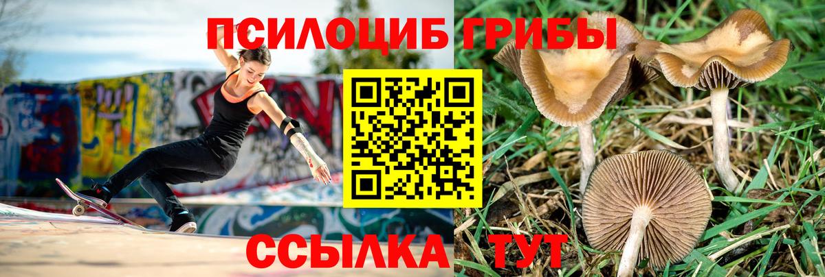 Псилоцибиновые грибы Psilocybine cubensis  где можно купить наркотик  Ревда  Вход с VPN 